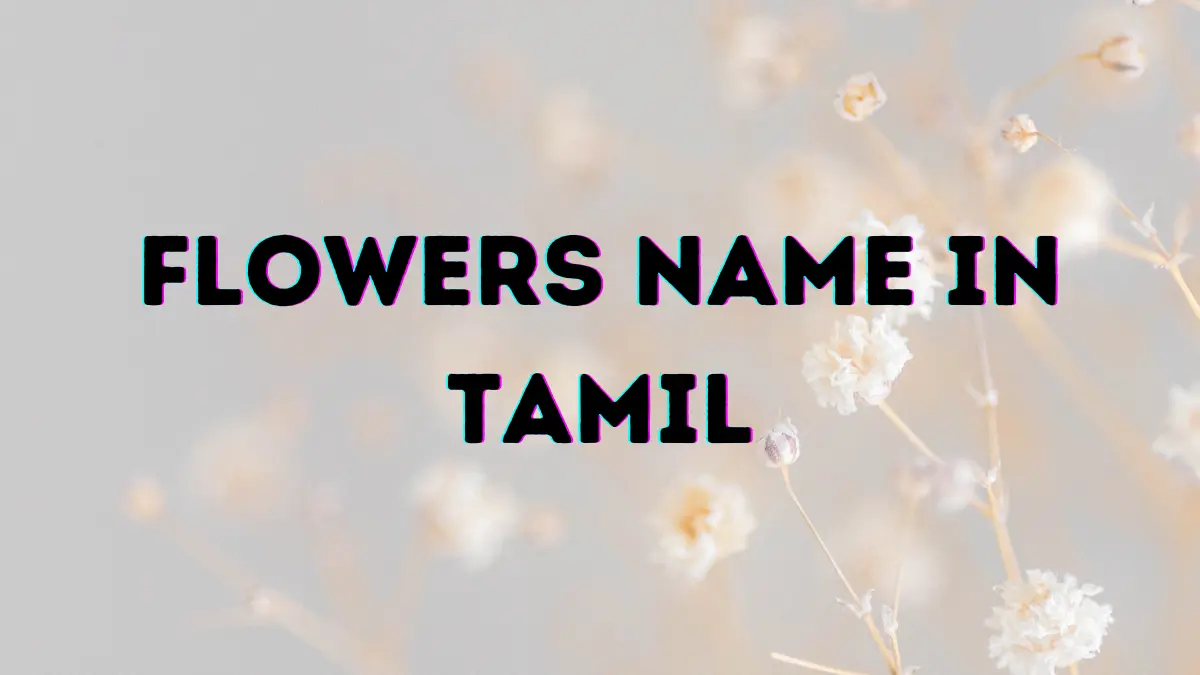 100+ Great பூக்கள் Flowers Name In Tamil List With Pictures 1 Flowers Name in Tamil
