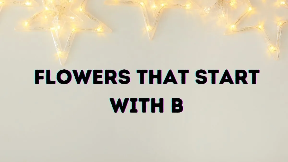 15+ Blissful Flowers That Start With B With Pictures 1 Flowers That Start with B