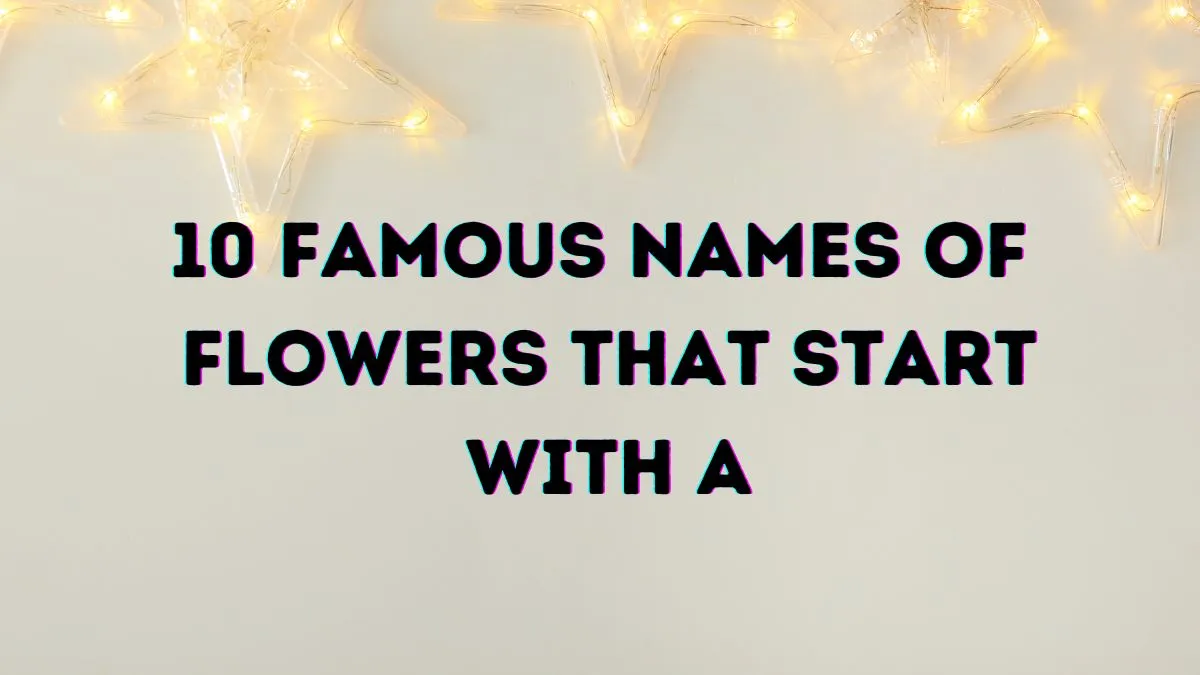12+ Astounding Flowers That Start With A With Images 1 Names of Flowers that start with A