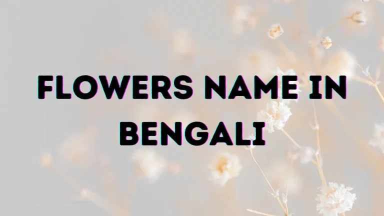 Bengali Flowers Name