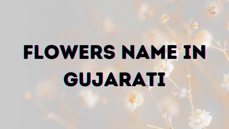 Flowers Name in Gujarati