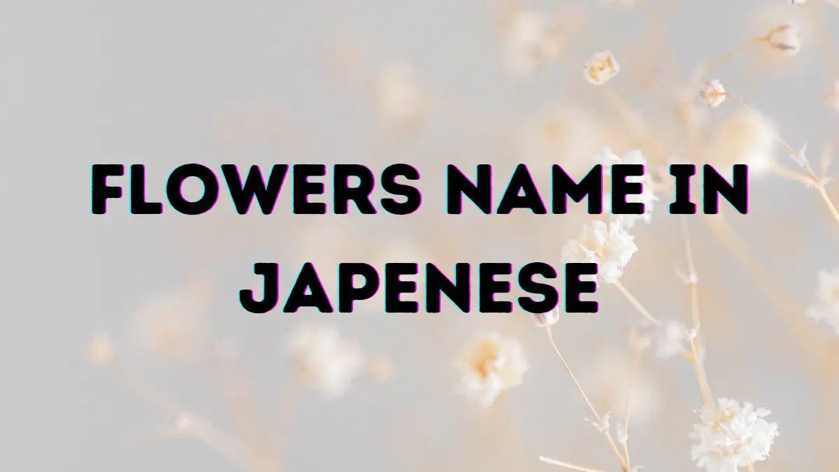 Traditional 50+ Japanese Flower Names List In the English 1 japanese flower names