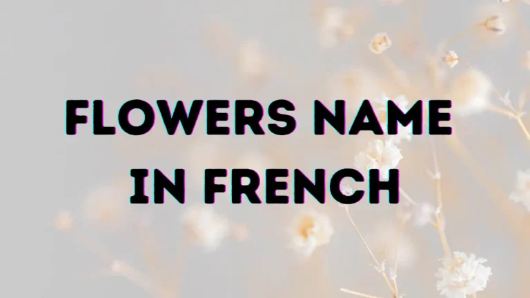 Flower name in French
