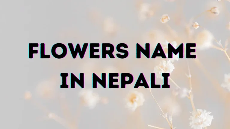 Flowers name in nepali
