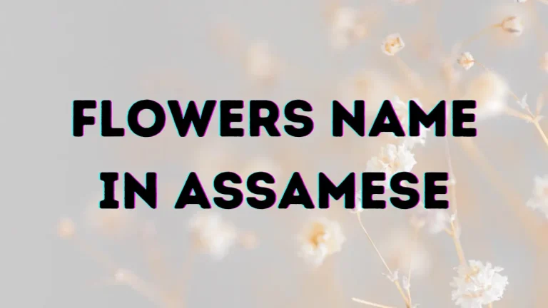 Flowers Name in Assamese