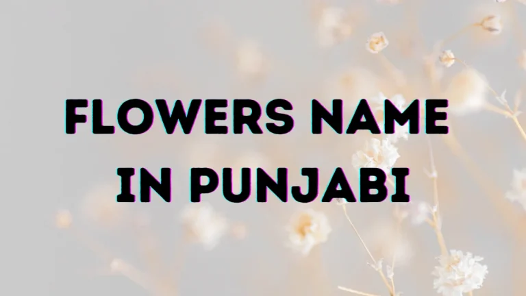 Flowers name in Punjabi