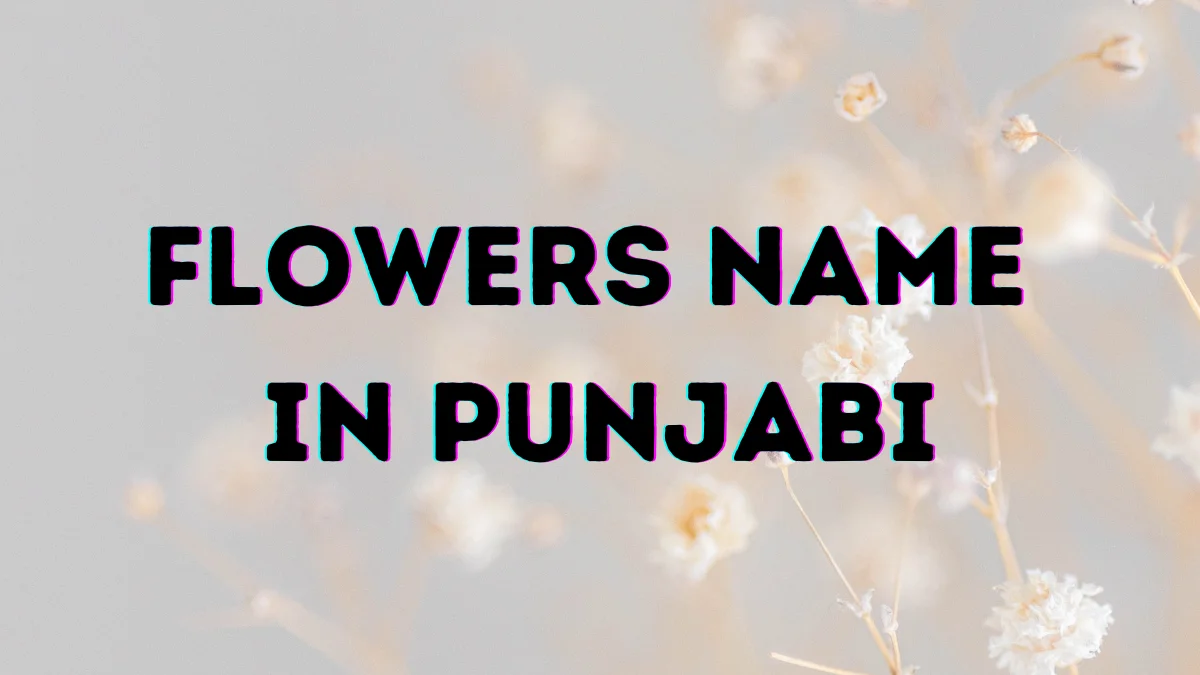 60+ Stunning Flowers Name in Punjabi - ਪੰਜਾਬੀ ਫੁੱਲਾਂ ਦਾ ਨਾਮ 1 Flowers name in Punjabi