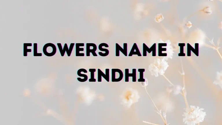 Flowers Name in Sindhi