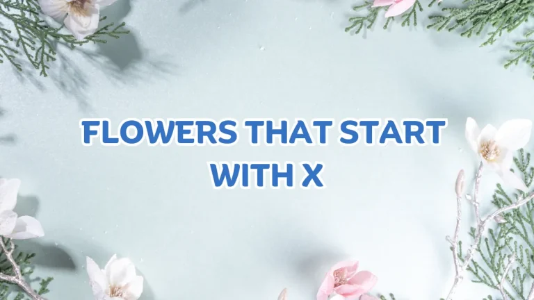 FLOWERS THAT START WITH X