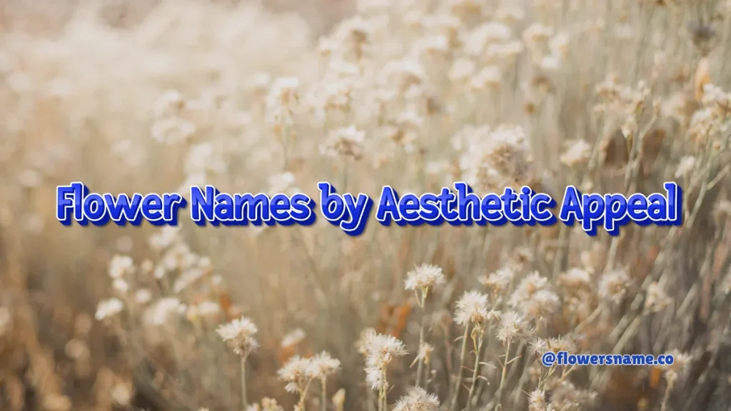 Best 200+ Flower Names for Cats - Simple and Unique Ideas 4 Flower Names by Aesthetic Appeal