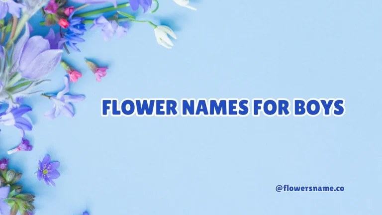 Flower Names for Boys