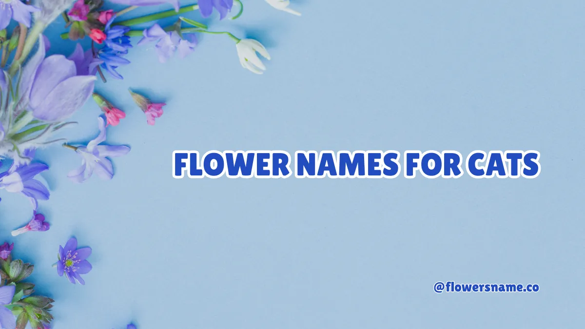 Best 200+ Flower Names for Cats - Simple and Unique Ideas 2 Flower Names for Cats