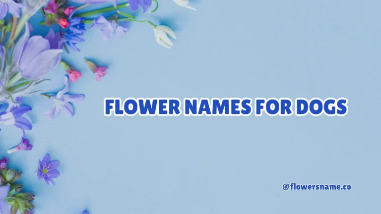 Flower Names for Dogs
