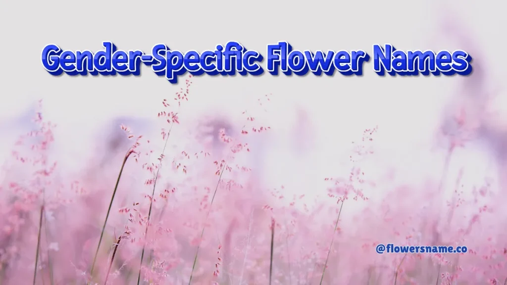 Best 200+ Flower Names for Cats - Simple and Unique Ideas 3 Gender-Specific Flower Names