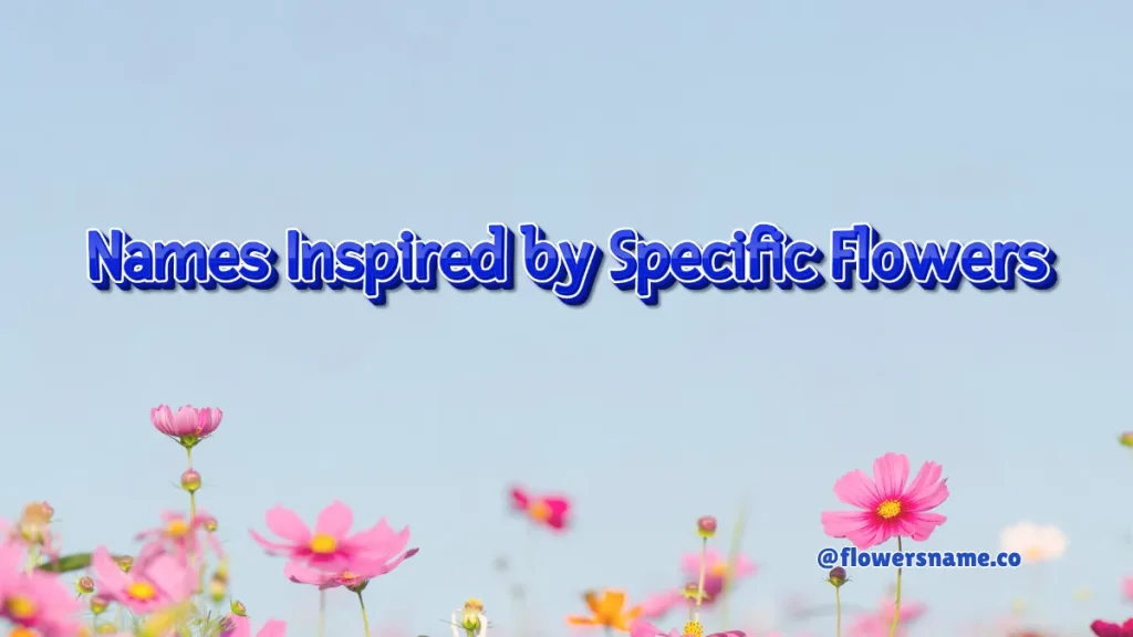 175+ Unique Ideas Flower Names for Girls With Images 6 Names Inspired by Specific Flowers