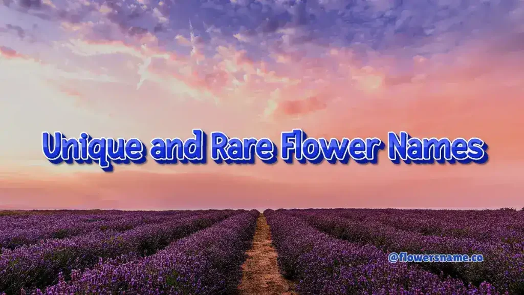 Best 200+ Flower Names for Cats - Simple and Unique Ideas 7 Unique and Rare Flower Names