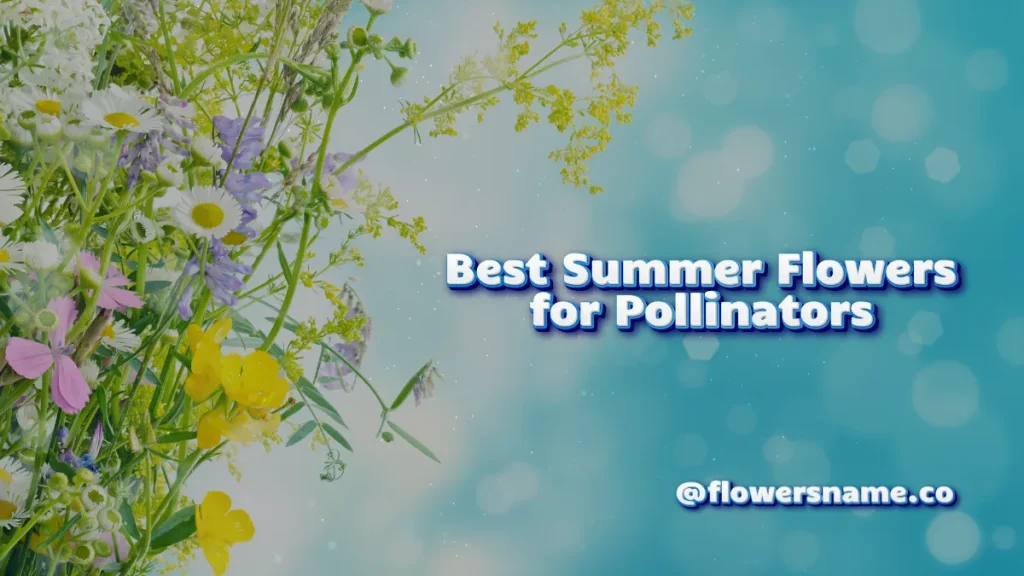 Beautiful Summer Flowers Name For Your Garden With Pictures 6 Best Summer Flowers for Pollinators