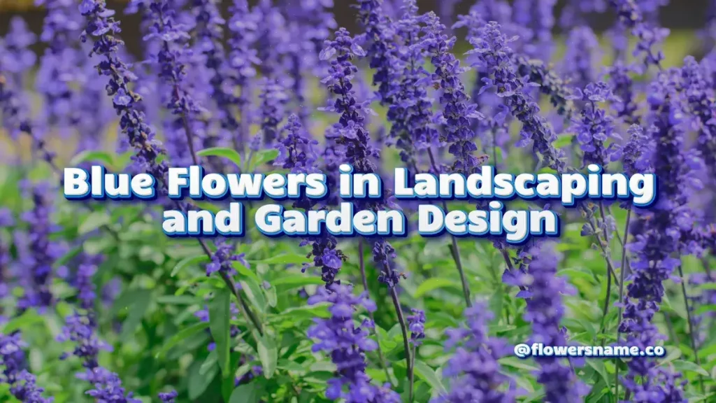 Blue Flowers in Landscaping and Garden Design