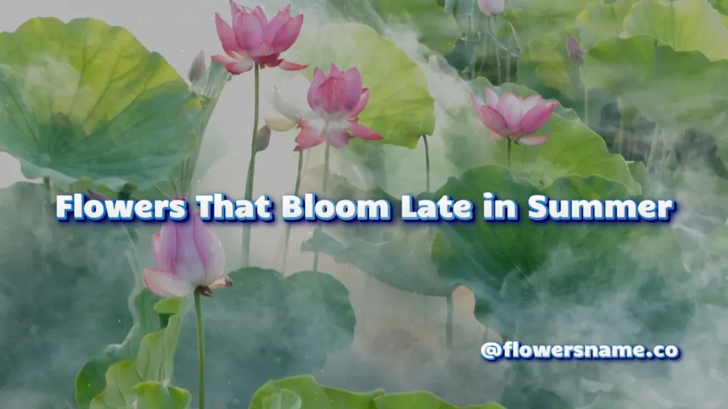 Beautiful Summer Flowers Name For Your Garden With Pictures 10 Flowers That Bloom Late in Summer