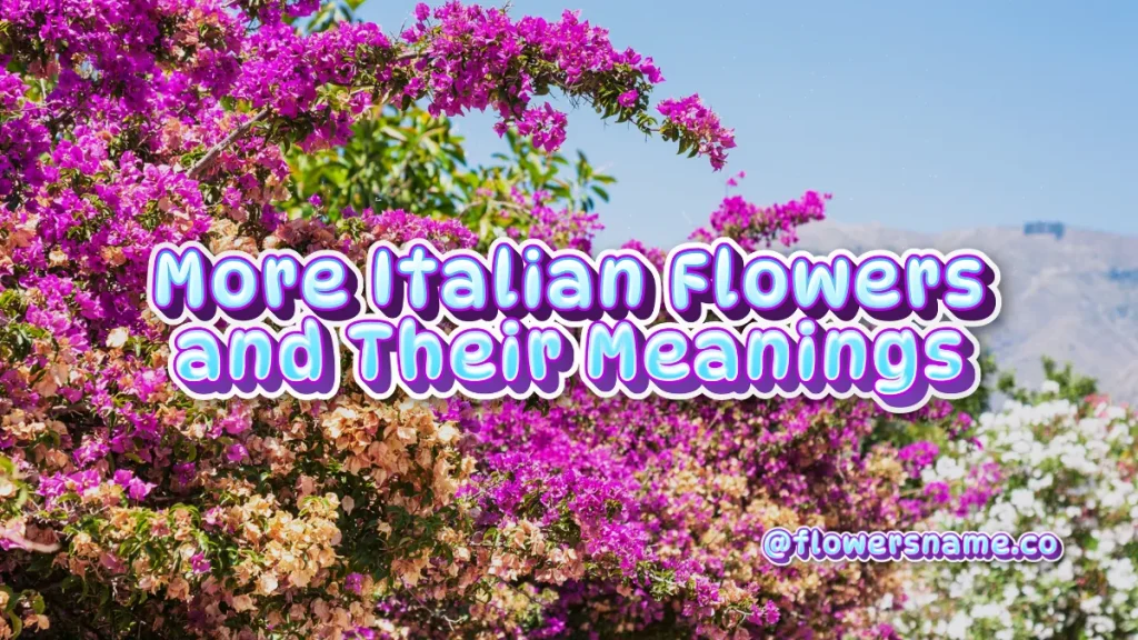 More Italian Flowers and Their Meanings