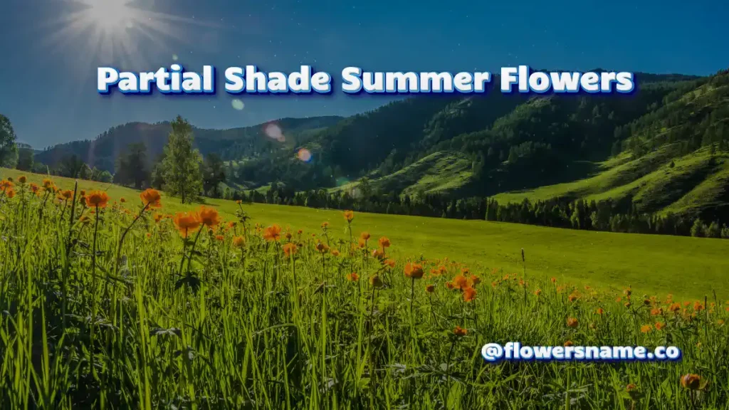 Beautiful Summer Flowers Name For Your Garden With Pictures 4 Partial Shade Summer Flowers