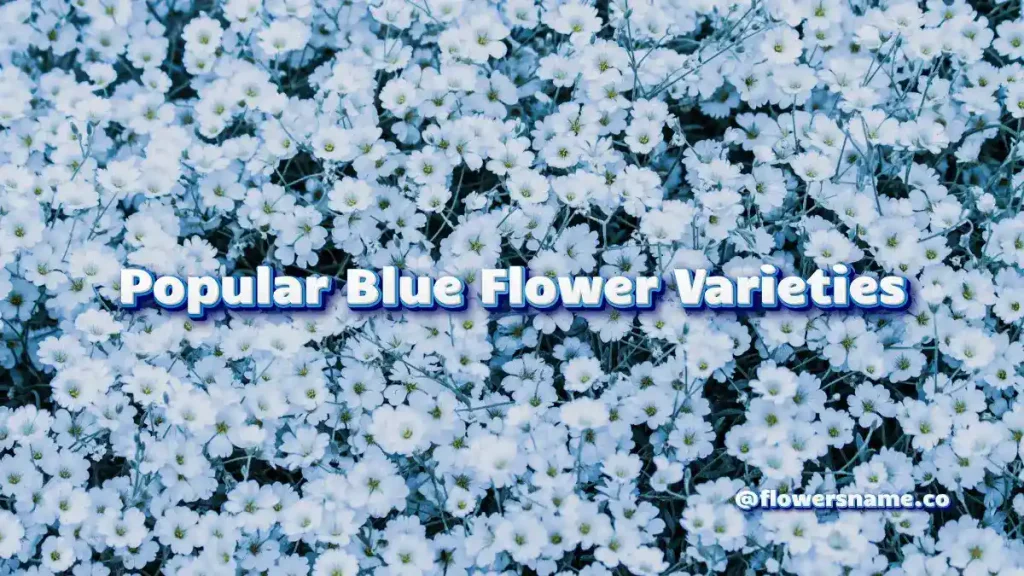 Popular Blue Flower