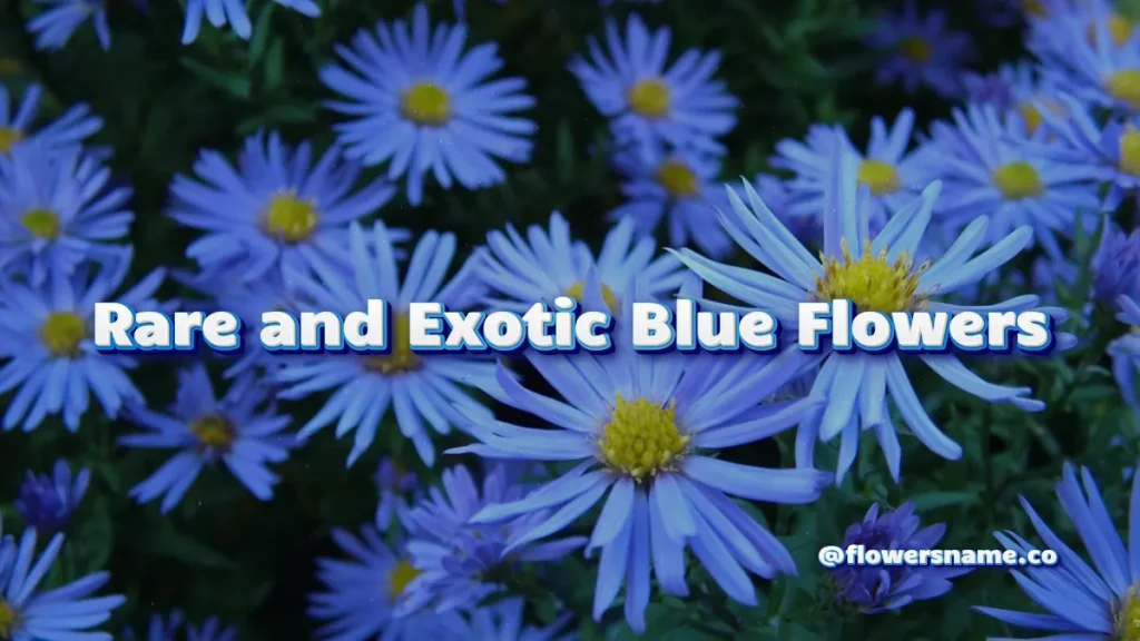 Rare and Exotic Blue Flowers