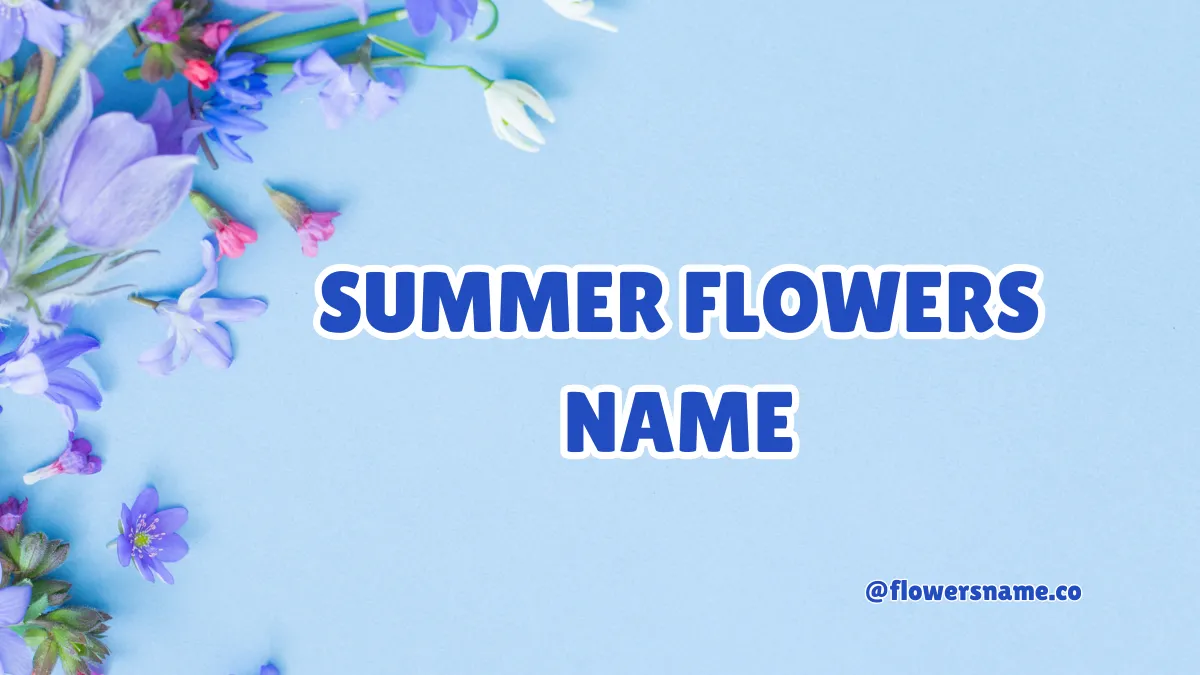 Beautiful Summer Flowers Name For Your Garden With Pictures 2 Summer Flowers Name