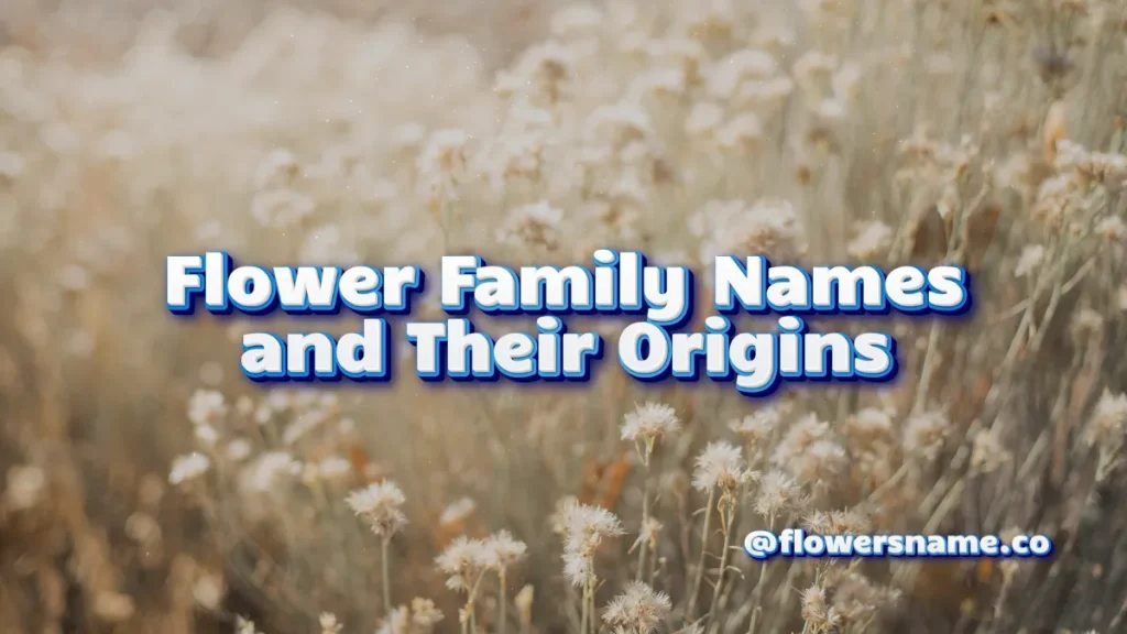 25+ Pretty Flower Last Names For Girls And Boys WIth Meaning 6 Flower Family Names and Their Origins
