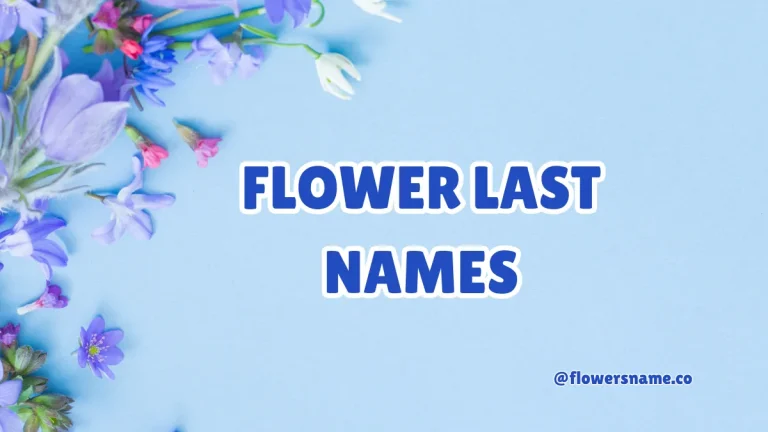 Flower Last Names