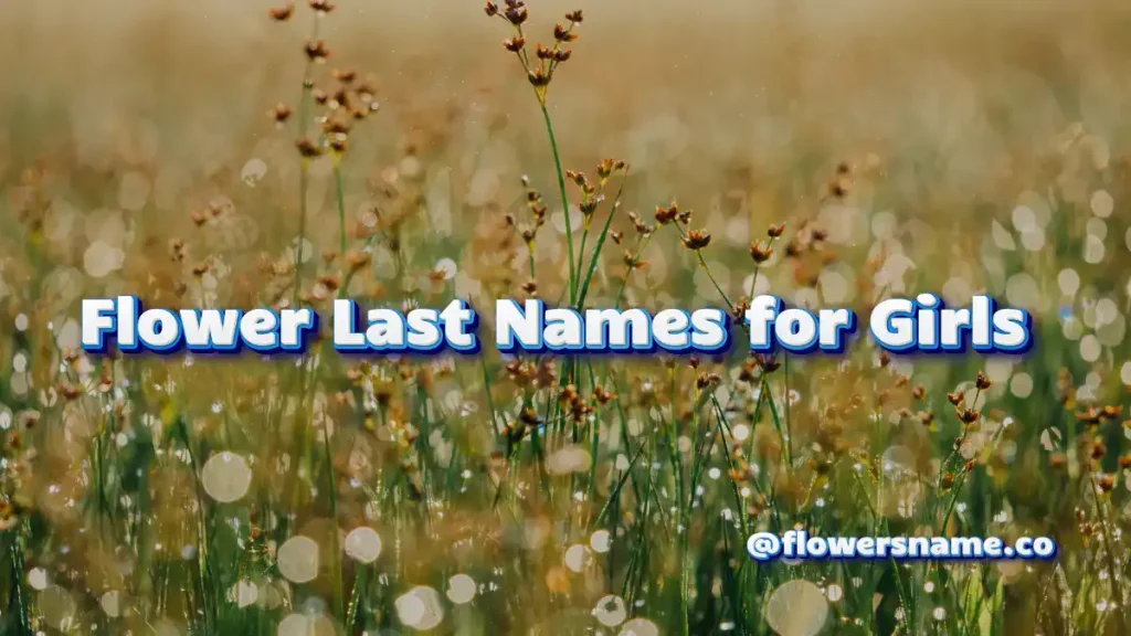 25+ Pretty Flower Last Names For Girls And Boys WIth Meaning 9 Flower Last Names for Girls
