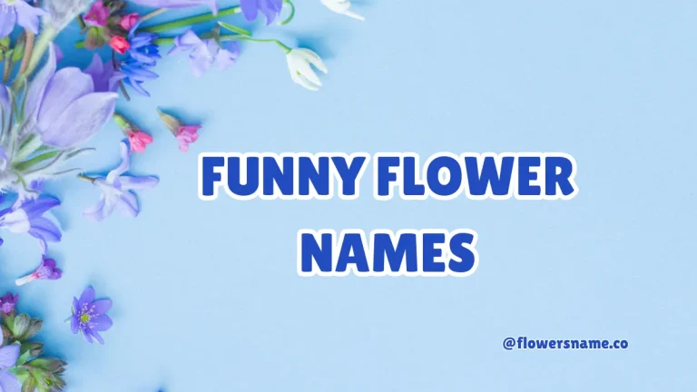 Funny Flower Names