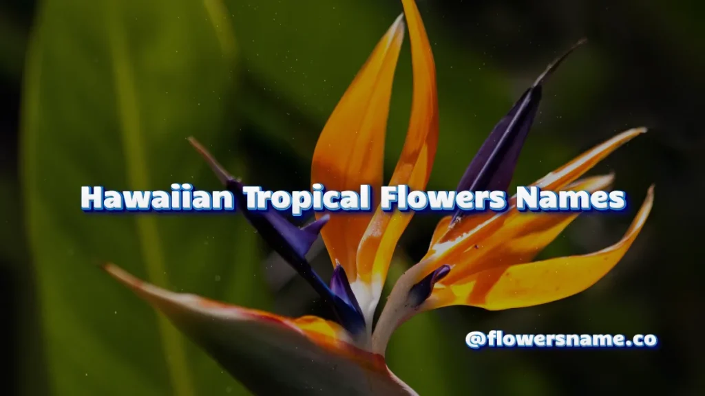 Hawaiian Tropical Flowers Names
