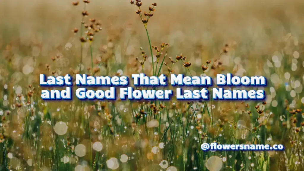 25+ Pretty Flower Last Names For Girls And Boys WIth Meaning 8 Last Names That Mean Bloom and Good Flower Last Names