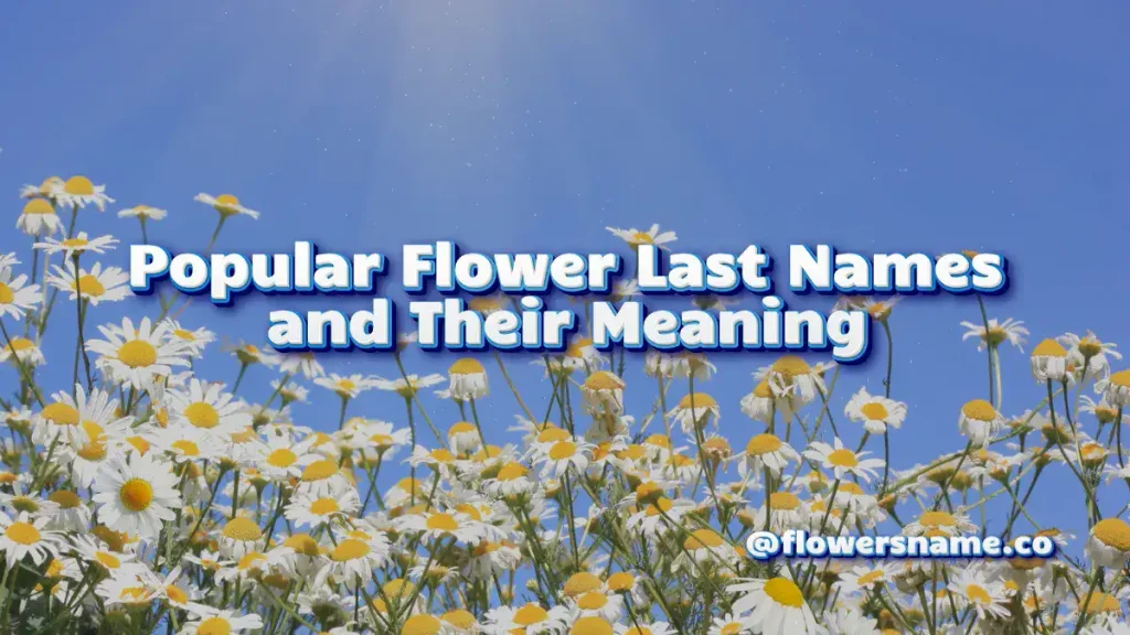 25+ Pretty Flower Last Names For Girls And Boys WIth Meaning 3 Popular Flower Last Names and Their Meaning