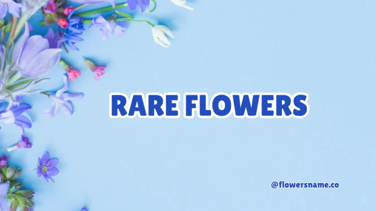 Rare Flowers