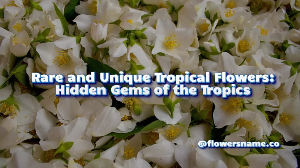 Rare and Unique Tropical Flowers_ Hidden Gems of the Tropics