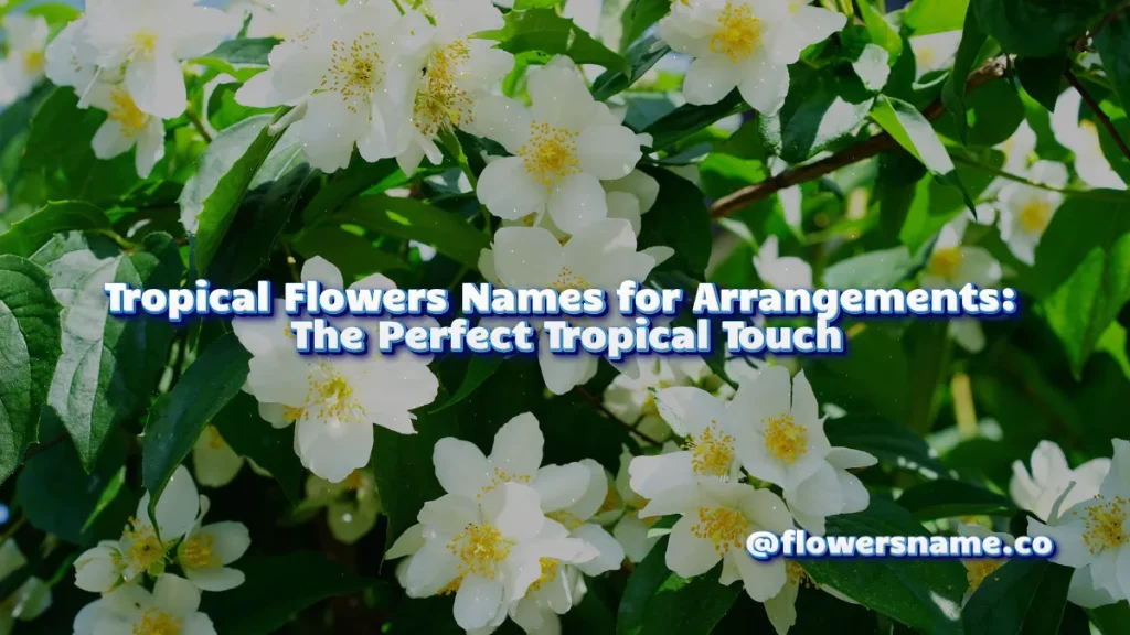 Tropical Flowers Names for Arrangements_ The Perfect Tropical Touch