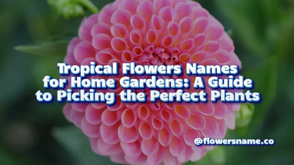 Tropical Flowers Names for Home Gardens_ A Guide to Picking the Perfect Plants
