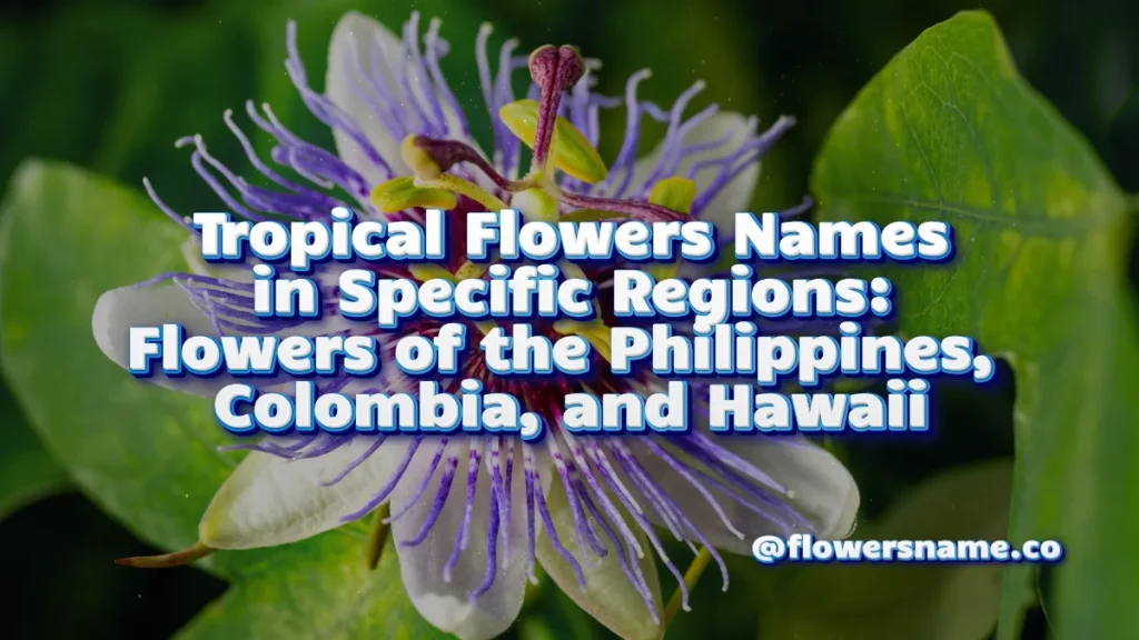Tropical Flowers Names in Specific Regions_ Flowers of the Philippines, Colombia, and Hawaii