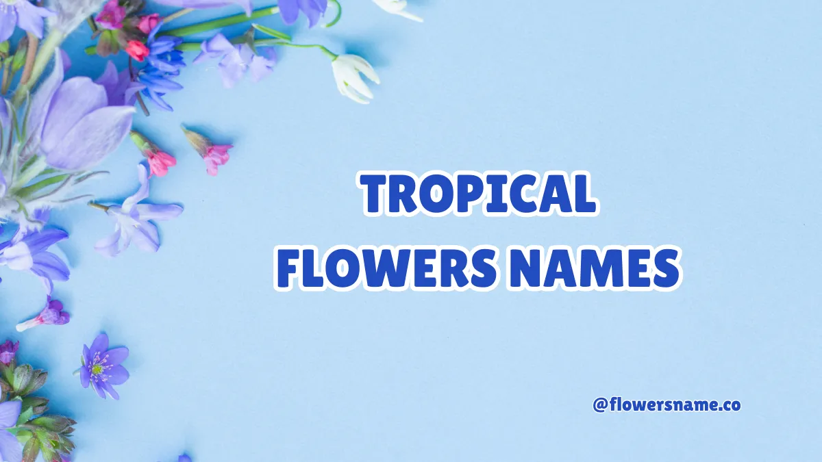 Tropical Flowers Names