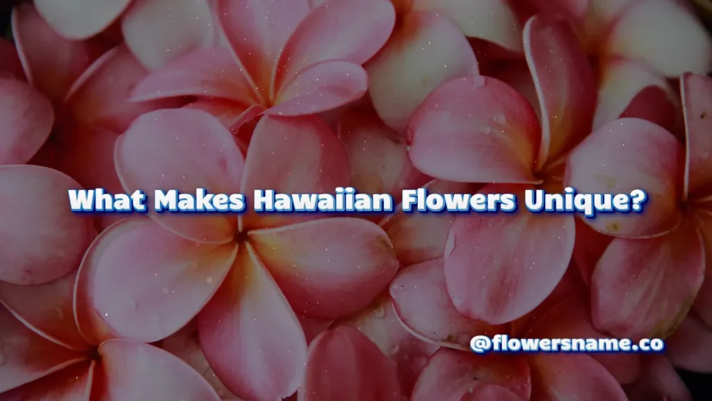 What Makes Hawaiian Flowers Unique