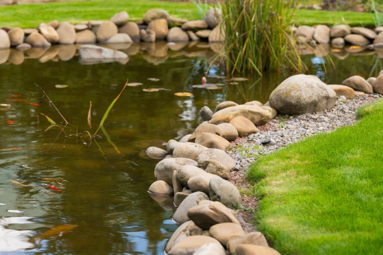 What is the Eco-Challenge to get Pond Upkeep?