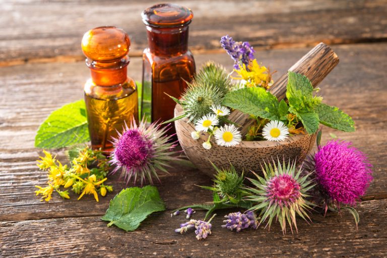 5 Medicinal Flowers and Their Healing Properties
